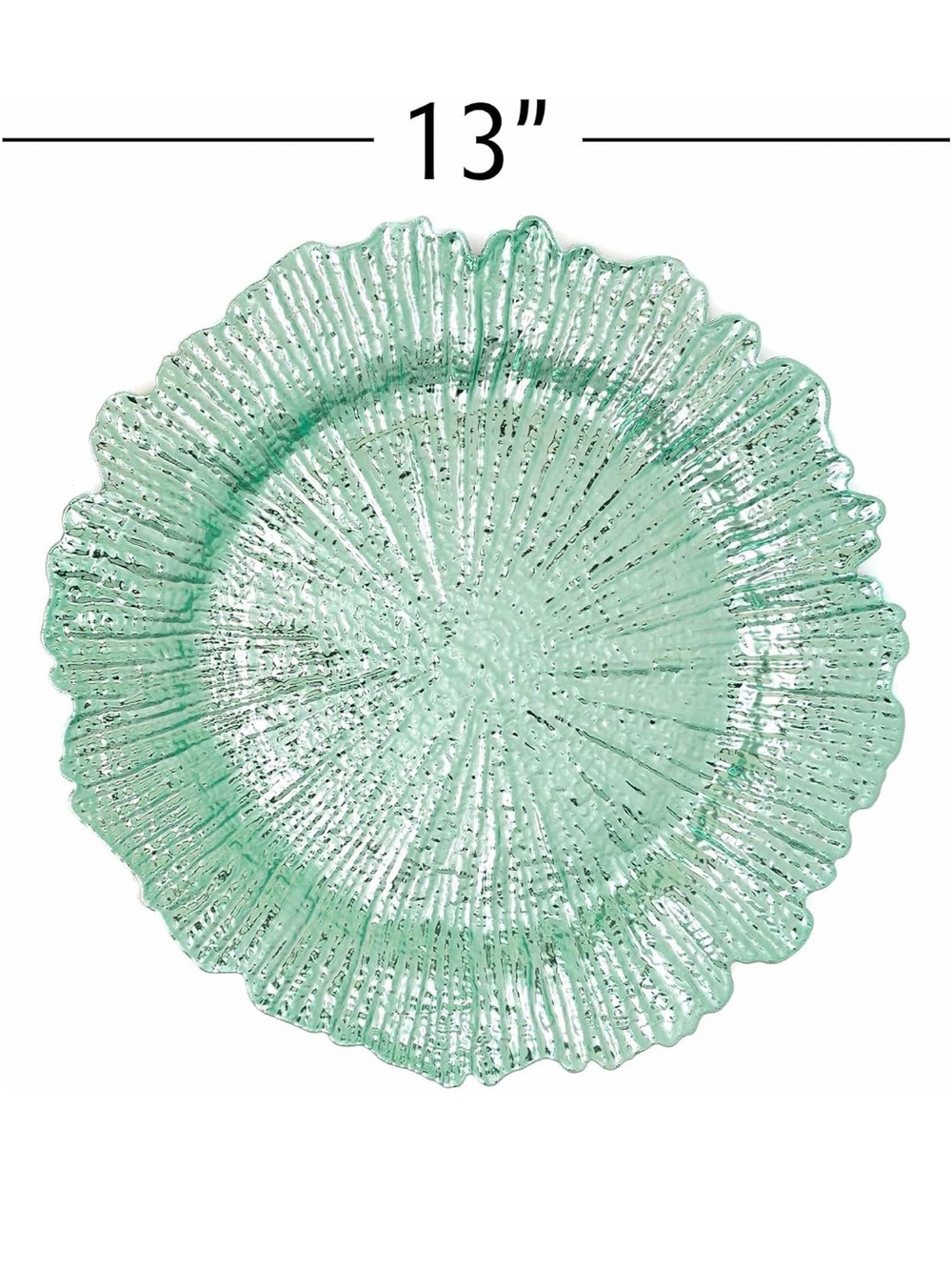 8 pack Reef Charger Plate Teal color - Picture 4 of 7